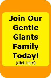 Join our Gentle Giants Family